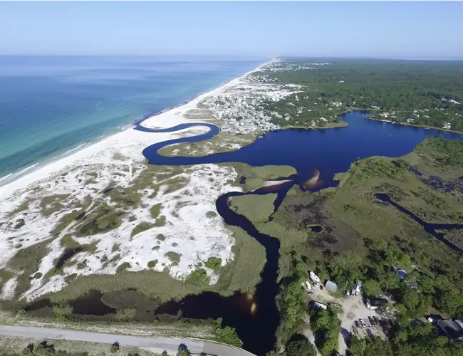 Coastal dune