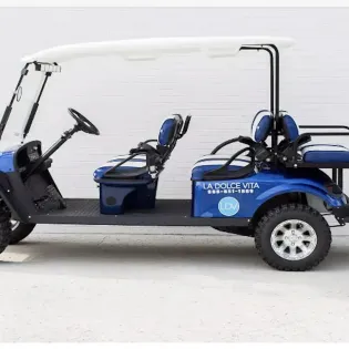 12 feeling octomystic 134 golf cart