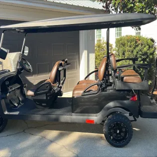 12 sandy paws 25 golf cart