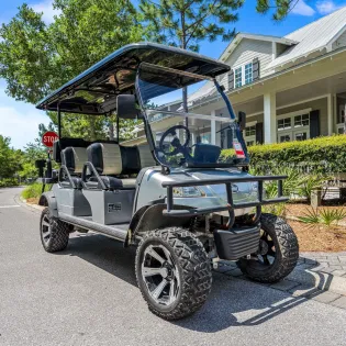 16 sunny in watercolor 133 golf cart