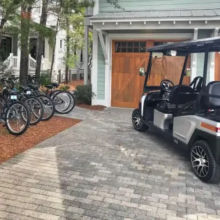 3 southern frog golf cart