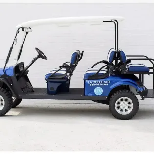 6 seater golf cart